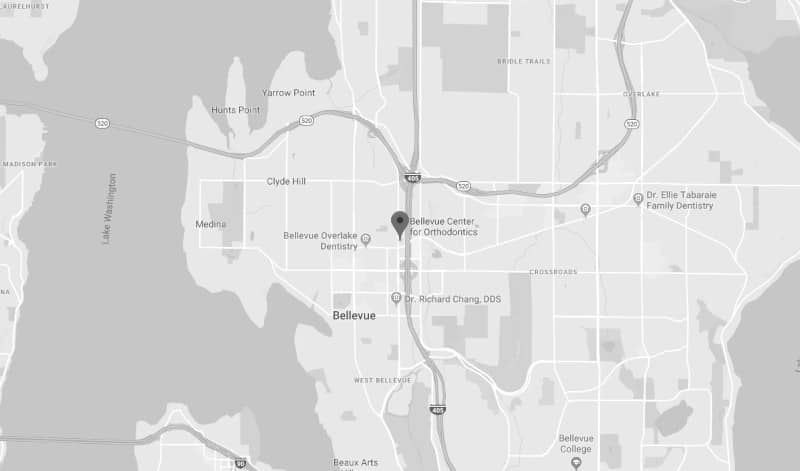 Bellevue Google Map
